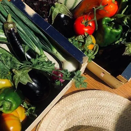 Çiftlik konaklama Santa Lucia - Residenza Agricola *